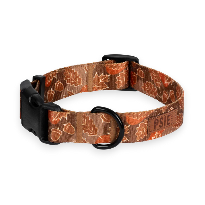 obroża-dla-pda-brązowa-regulowana-z-klamra (1).webp