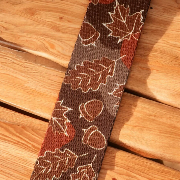 obroża-dla-pda-brązowa-regulowana-z-klamra (3).webp