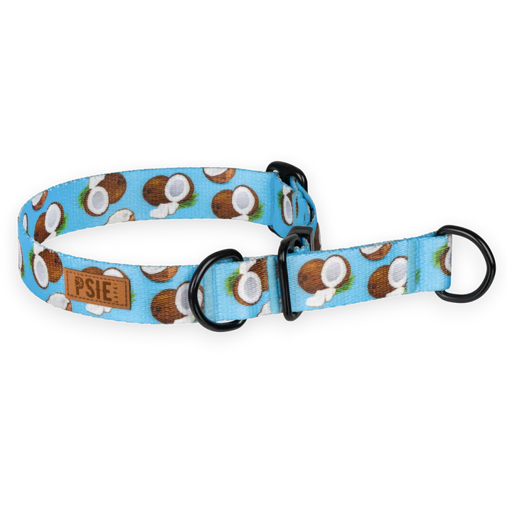 obroża-dla-psa-polzaciskowa-niebiska-w-koksy (1).webp