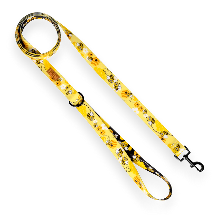 smycz-miejskadla-psa-pszczola.webp