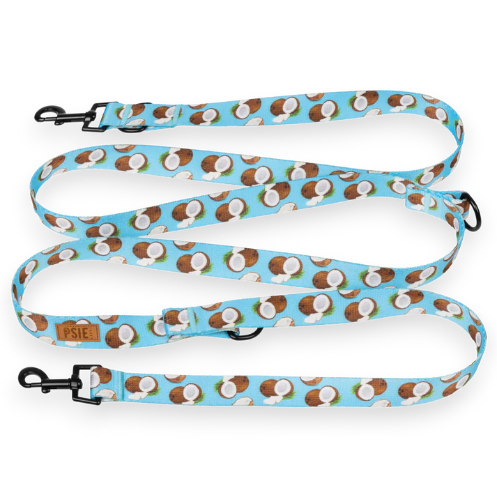 smycz-przepinana-dla-psa-niebieska-kokosy.webp