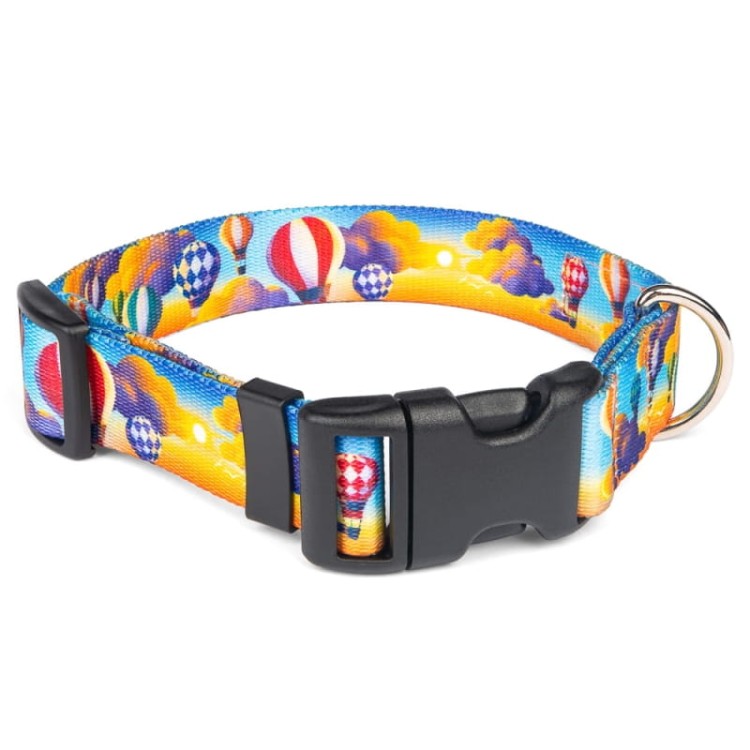 obroża-regulowana-dla-psa-kolorowa-balony.webp