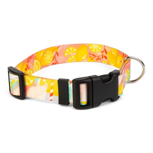 obroża-regulowana-dla-psa-kolorowa-lemoniada.webp