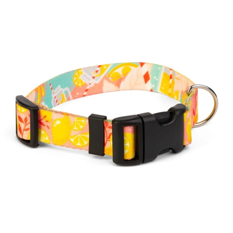 obroża-regulowana-dla-psa-żółta-cytryny.webp