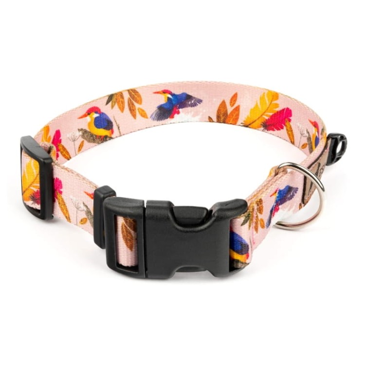 obroża-regulowana-dla-psa-różowa-ptaki.webp
