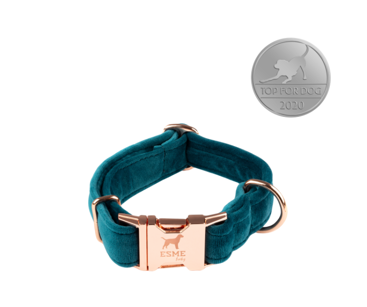 obroża-welurowa-dla-psa-butelkowa-zieleń.webp
