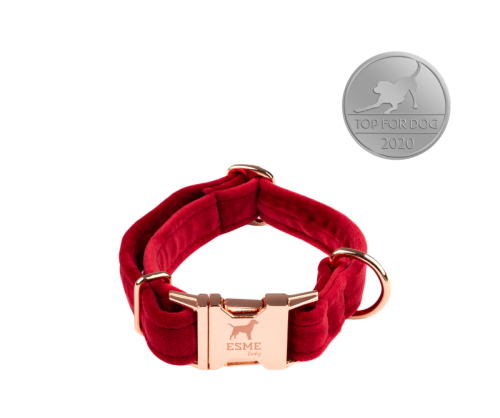 obroża-welurowa-dla-psa-czerwona.webp