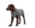 Hunter-Sweterek-dla-psa-Malmo-szary.webp