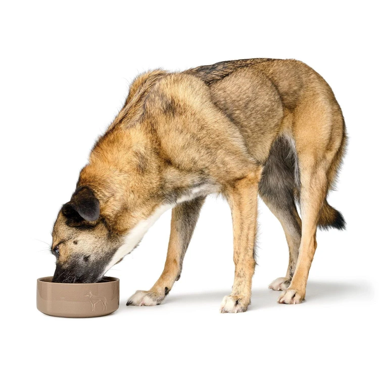 Hunter-Miska-ceramiczna-dla-psa-Glazed-bezowa_3.jpg