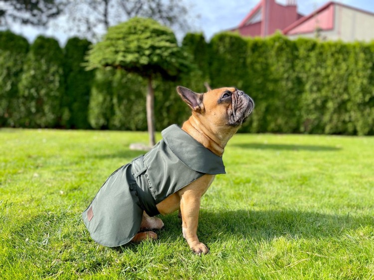 plaszcz dla psa (1).jpg