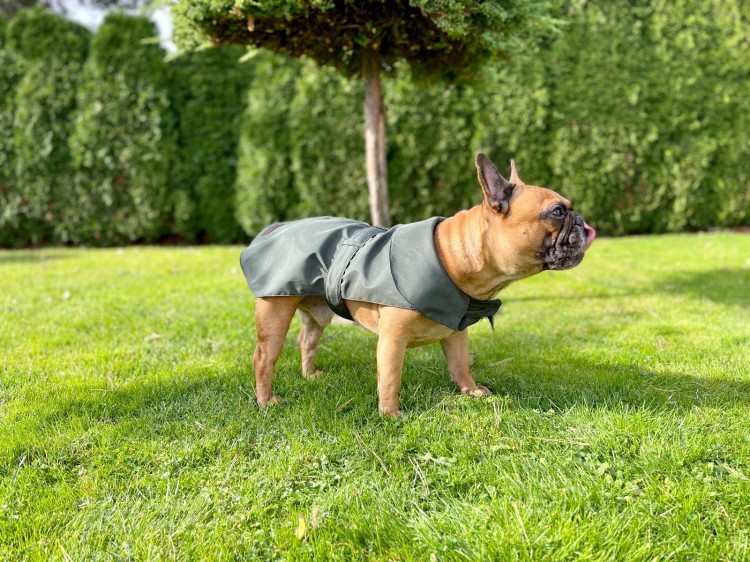 plaszcz dla psa (3).jpg