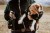 dogidigi-027.jpg