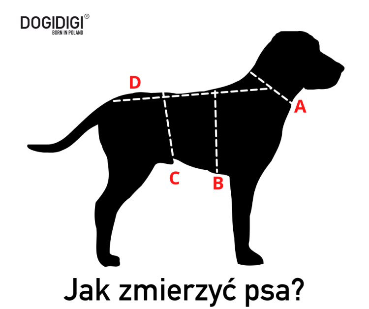 jak_zmierzy_psa_-_ubranka_1_2.png
