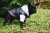 img-20201012-wa0000.jpg