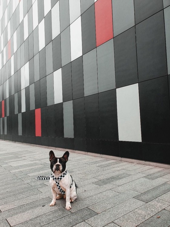 20230227_112717.jpg