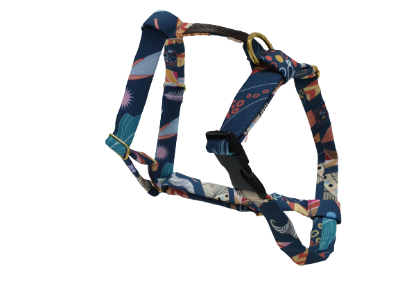 20210804_155242-removebg-preview.png