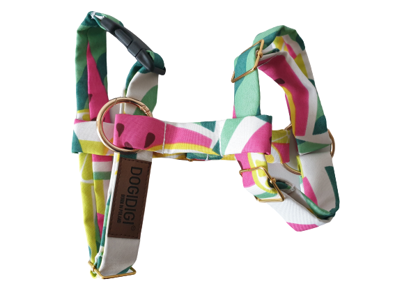 20200814_103320-removebg-preview.png