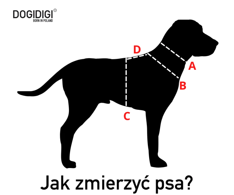 jak_zmierzy_psa_1_13.png
