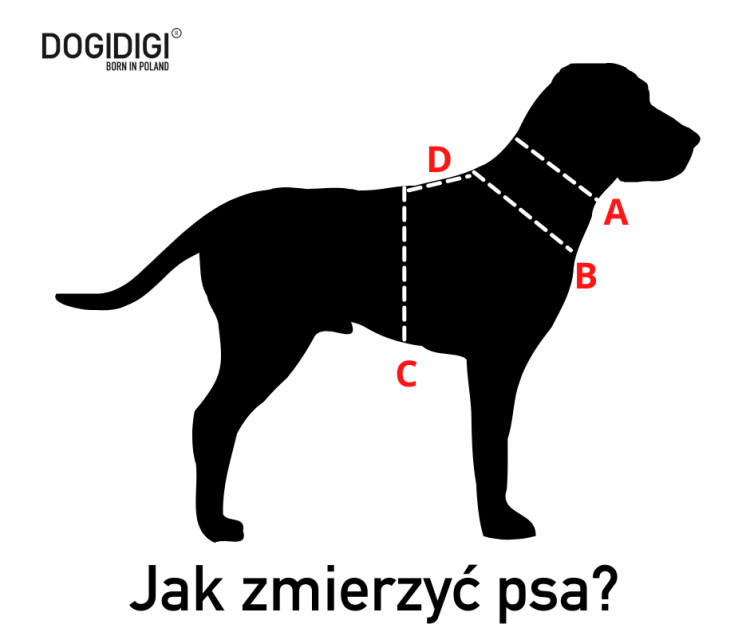 jak_zmierzy_psa_1_13.png