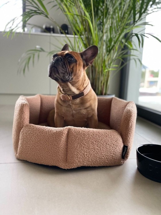 obroza-dla-psa-brazowa (1).jpg