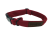bordowa_obroza_dla_psa_malego (2).png