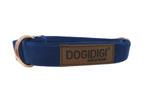 niebieska-obroza-dla-psa (1).png