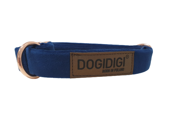 niebieska-obroza-dla-psa (1).png