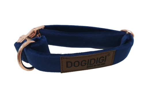 niebieska-obroza-dla-psa (2).png
