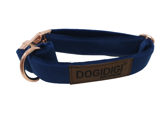 niebieska-obroza-dla-psa (2).png