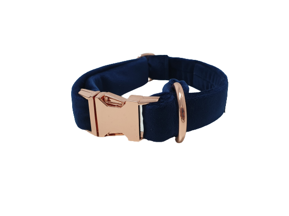 niebieska-obroza-dla-psa (3).png