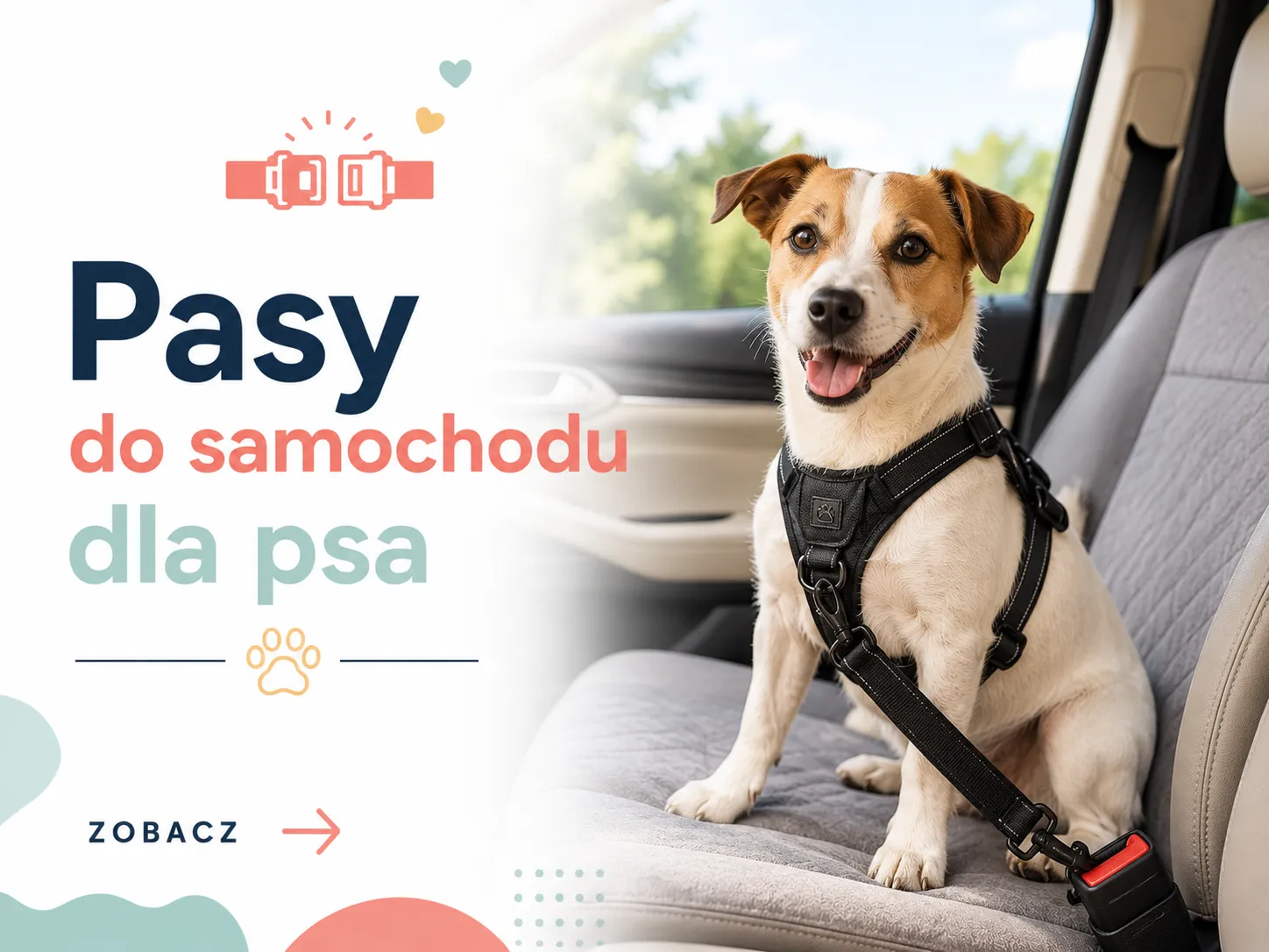 Pasy do samochodu dla psa